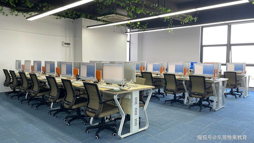 平面設(shè)計(jì)利器 Adobe Illustrator在計(jì)算機(jī)技術(shù)開(kāi)發(fā)中的定位與應(yīng)用